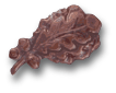 Bronze Oak Leaf